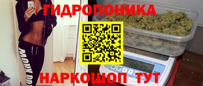a pvp Тулун