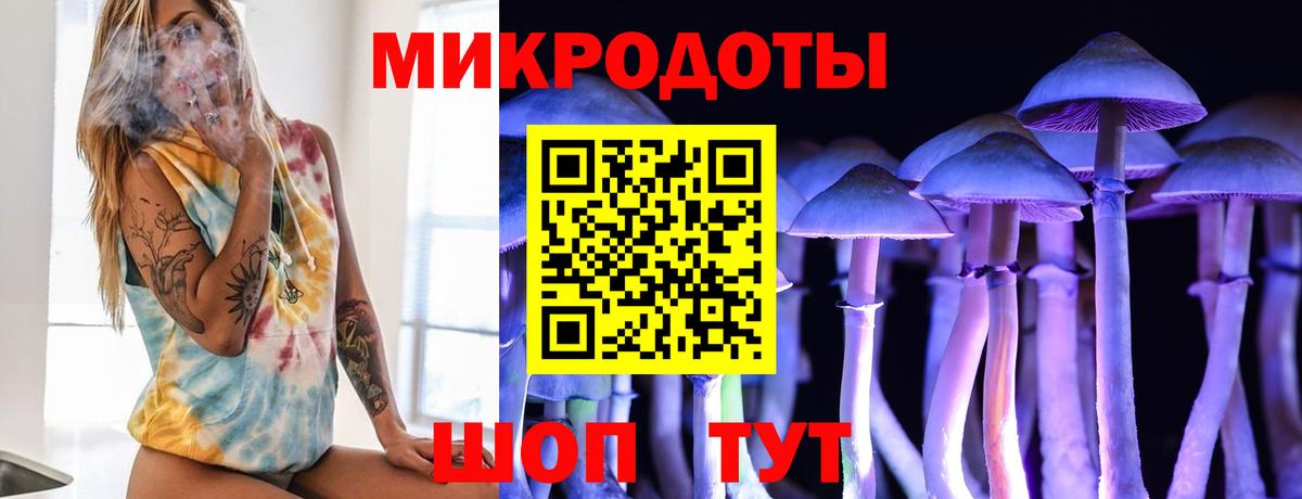 Тайшет  Галлюциногенные грибы мицелий  Вход с VPN  Галлюциногенные грибы MAGIC MUSHROOMS 